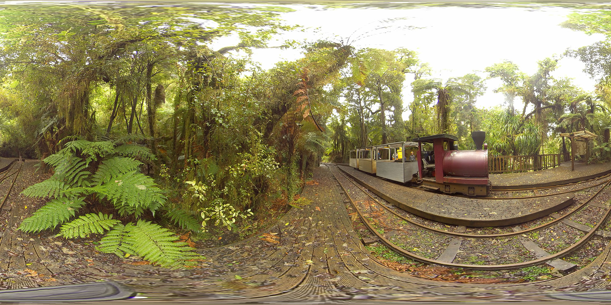 Nile River Rainforest Train